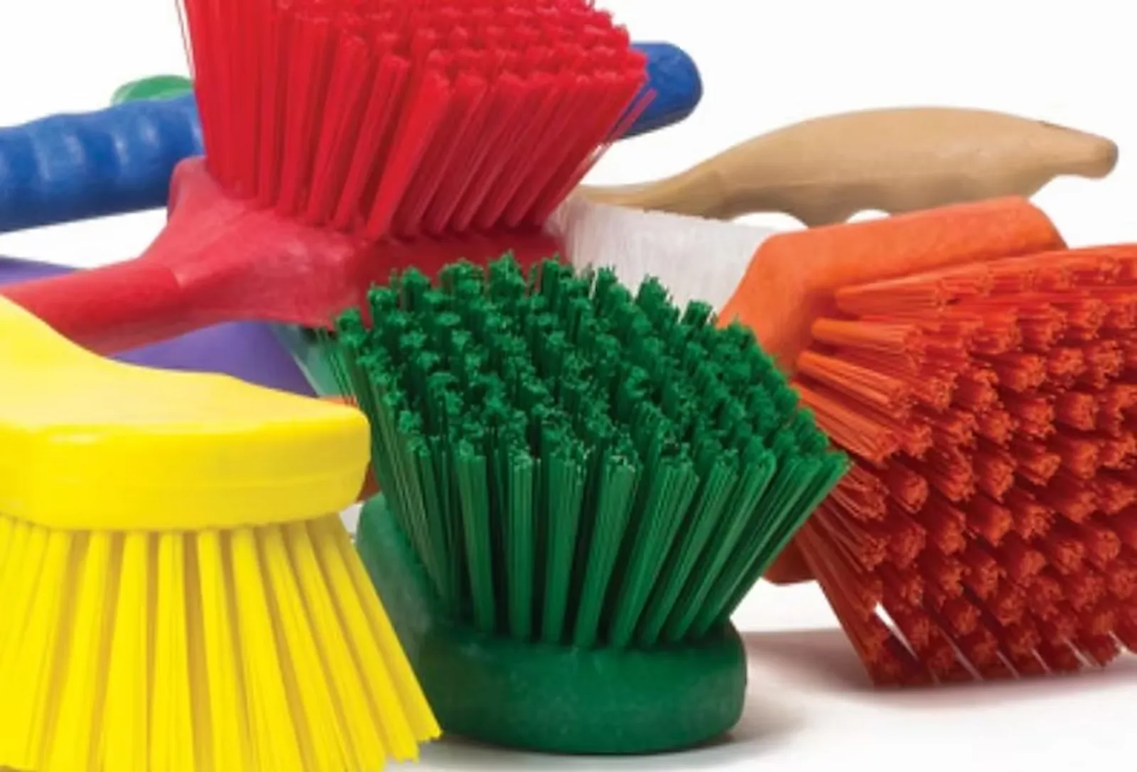 Escobetas Cortas 8 pulgadas